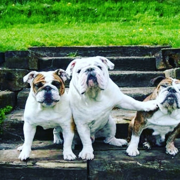 Meet your Posher, Mark - Picture 10 of 16